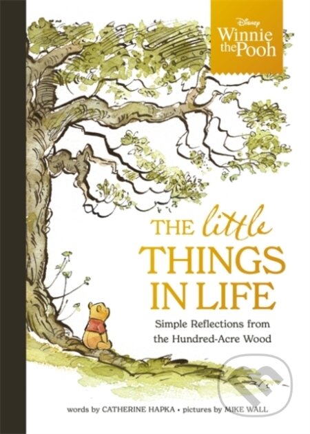 Kniha Winnie the Pooh - The Little Things in Life