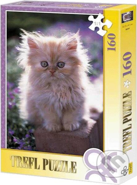 Perzská mačka, Trefl