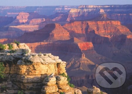 Grand Canyon, Dino
