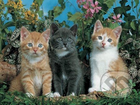 Tri mačky, Ravensburger