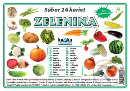 Súbor 24 kariet - Zelenina - kniha z kategorie Učebnice a slovníky