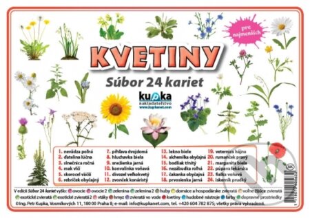 Súbor 24 kariet - Kvetiny - Petr Kupka - kniha z kategorie Učebnice a slovníky