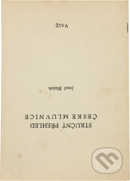 Kniha: Stručný přehled české mluvnice (Josef Blažek). , 1991