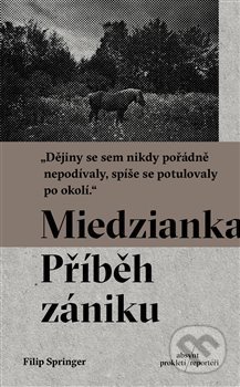 Miedzianka - Filip Springer, Absynt, 2017