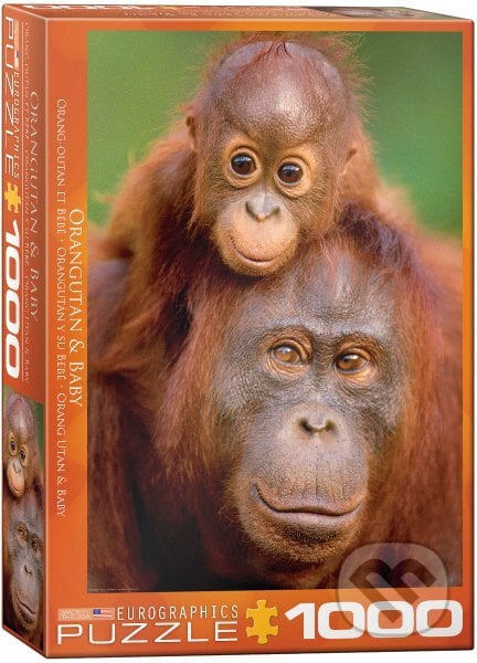 Orangutan a mládě, EuroGraphics, 2017