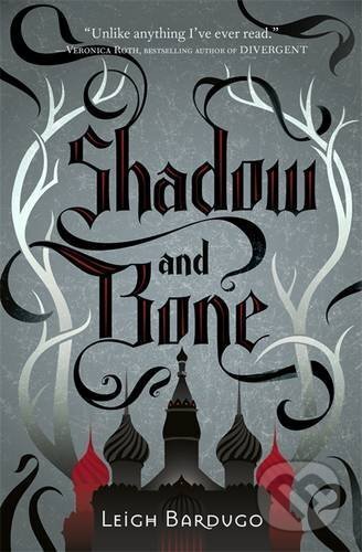 Shadow and Bone - Leigh Bardugo, Hachette Book Group US, 2013