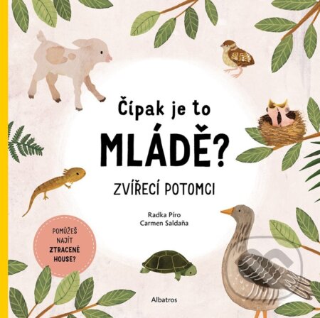 Čípak je to mládě? - Radka Píro, Carmen Saldana (ilustrátor) - kniha z kategorie Naučné knihy