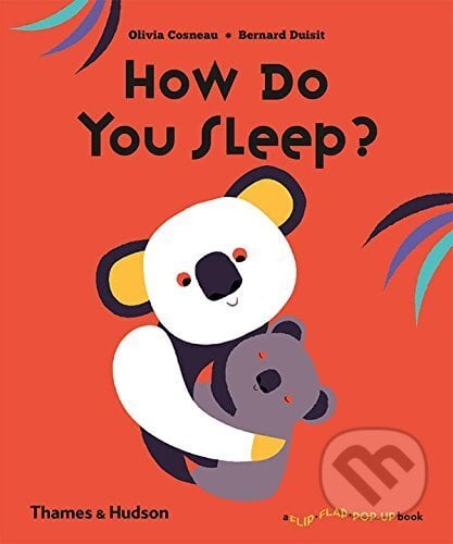 How Do You Sleep? - Olivia Cosneau, Bernard Duisit, Thames & Hudson, 2017