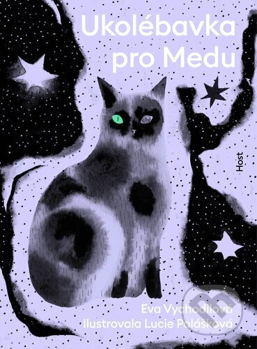 Kniha: Ukolébavka pro Medu (Eva Vychodilová)