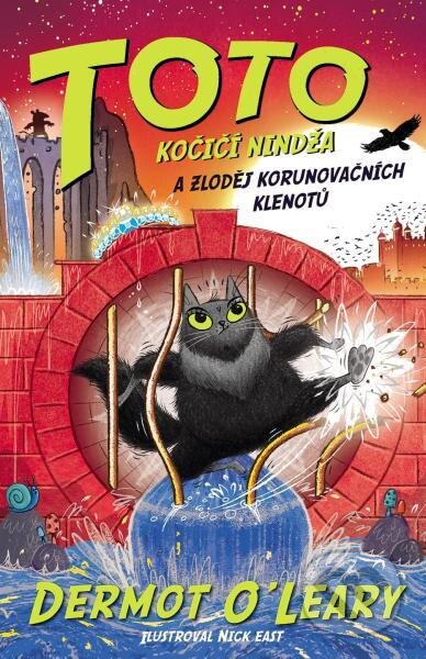 Kniha: Toto – Kočičí nindža a zloděj klenotů (Dermot O'Leary)