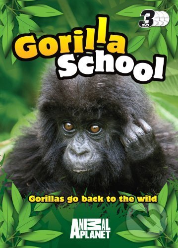 Gorilla School, 