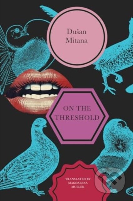 On the Threshold (Short Stories) - Dušan Mitana - kniha z kategorie Beletrie