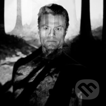 Hudobné CD: Bjorn Dixgard:  Shadowlands LP (Sony Music Entertainment). Sony Music Entertainment, 2025