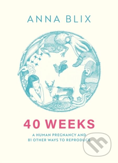 Kniha: 40 Weeks (Anna Blix)