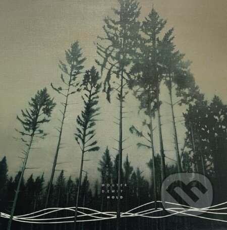Wouter Dewit: Hold LP - Wouter Dewit