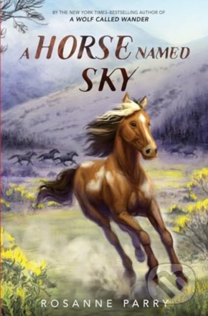 Kniha: A Horse Named Sky (Parry Rosanne)