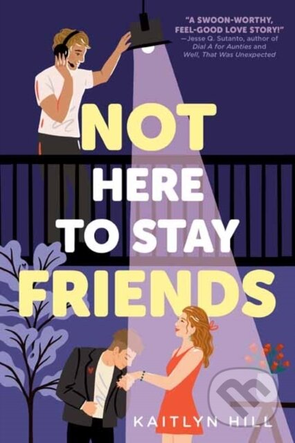 Kniha: Not Here to Stay Friends (Kaitlyn Hill)