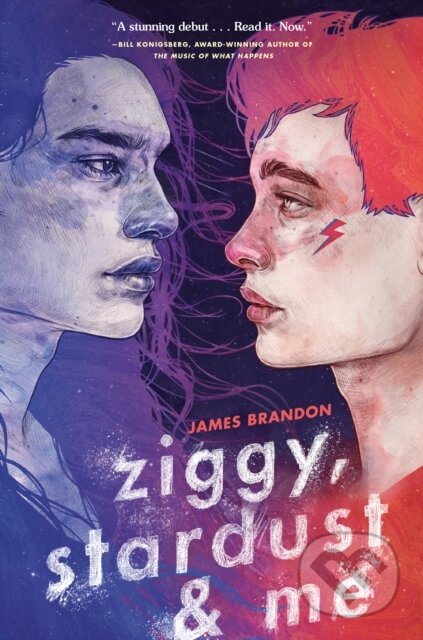 Kniha: Ziggy, Stardust and Me (James Brandon)