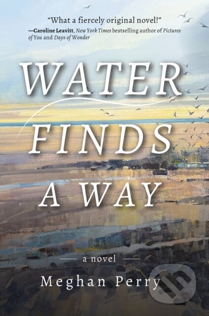 Water Finds a Way a novel