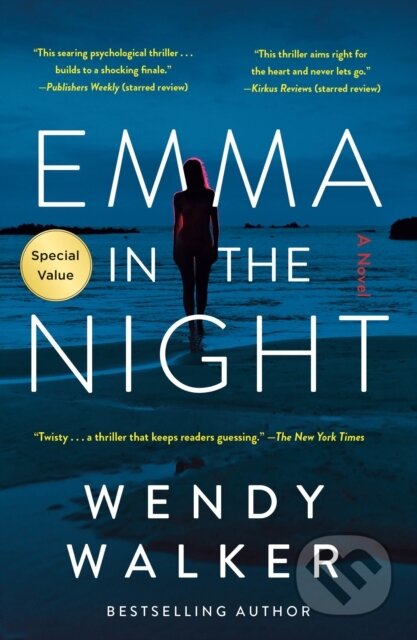 Kniha Emma in the Night