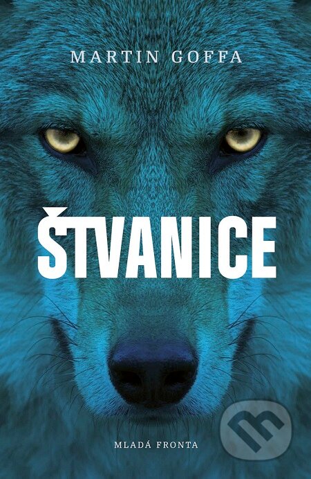 E-kniha: Štvanice (Martin Goffa)
