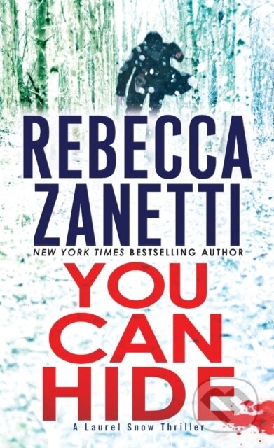 Kniha: You Can Hide (Rebecca Zanetti)