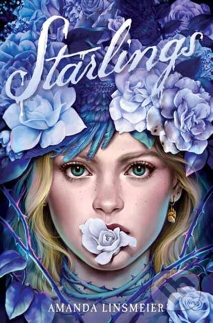 Kniha: Starlings (Amanda Linsmeier)