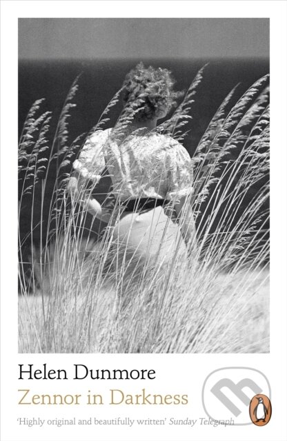 Zennor in Darkness (From the Women’s Prize-Winning Author of A Spell of Winter) - kniha z kategorie Romantika