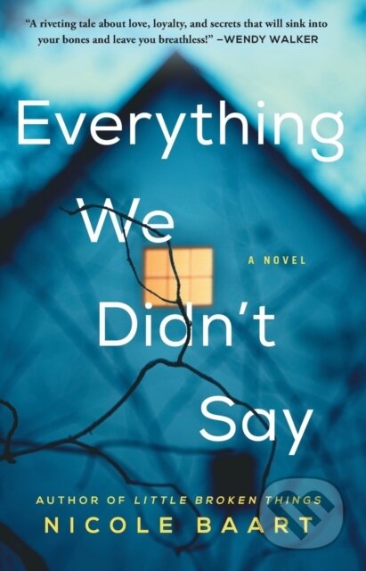 Everything We Didn't Say (A Novel) - Nicole Baart - kniha z kategorie Společenská beletrie