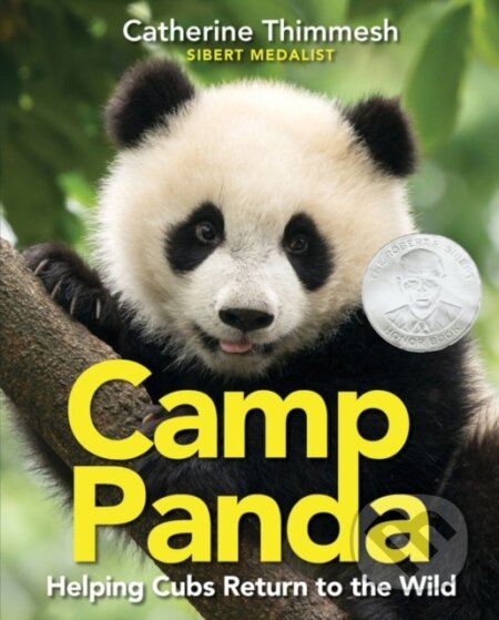 Kniha Camp Panda