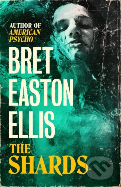 Kniha The Shards