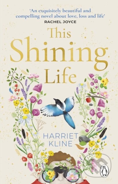 This Shining Life (A moving, powerful novel about love, loss and treasuring life) - kniha z kategorie Společenská beletrie