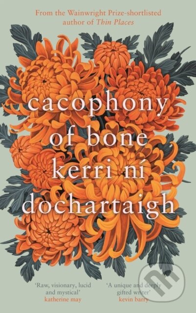 Kniha: Cacophony of Bone (Kerri ni Dochartaigh)