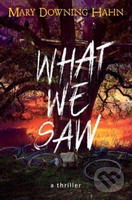 Kniha: What We Saw (Hahn Mary Downing)