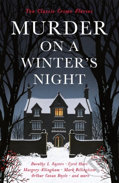 Kniha Murder on a Winter's Night