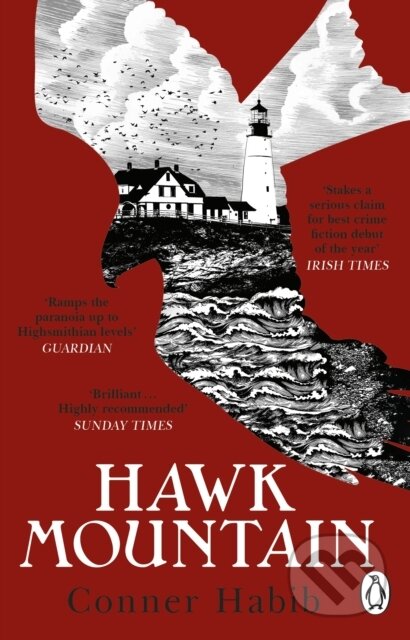 Hawk Mountain (A highly suspenseful and unsettling literary thriller) - kniha z kategorie Detektivky, thrillery a horory