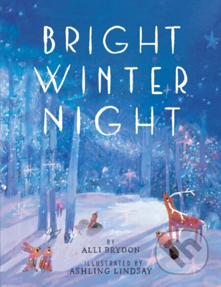 Kniha: Bright Winter Night (Alli Brydon)