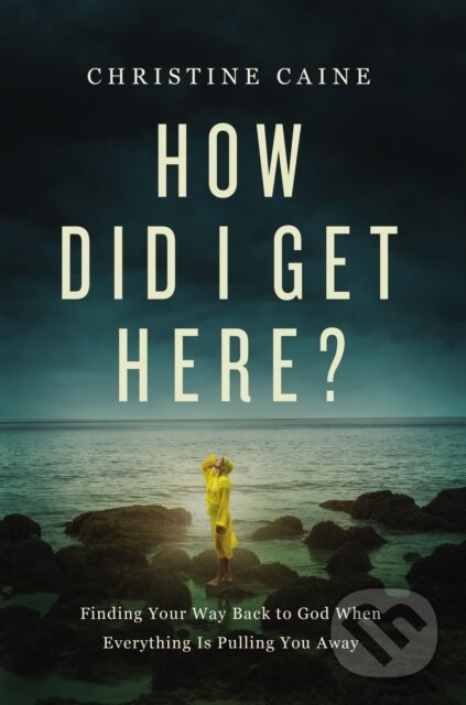 How Did I Get Here? koupíte na Martinus.cz