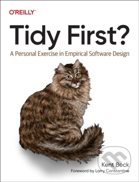 Kniha: Tidy First? (Kent Beck)