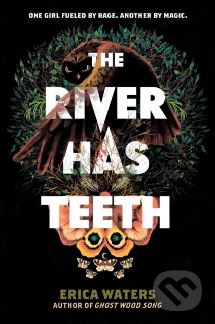 Kniha: The River Has Teeth (Waters Erica)