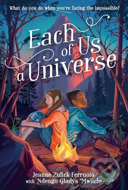 Kniha: Each of Us a Universe (Jeanne Zulick Ferruolo a Ndengo Gladys Mwilelo)