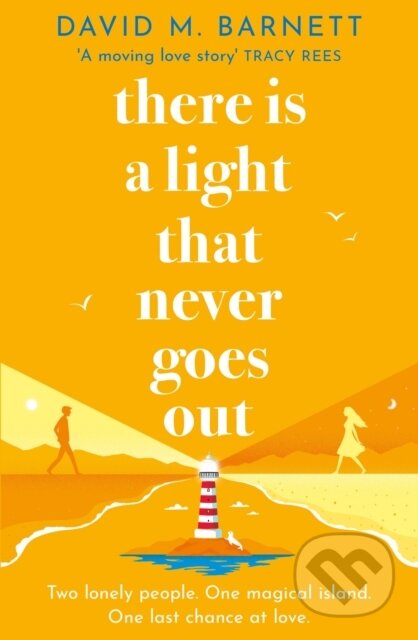 Kniha: There Is a Light That Never Goes Out (David M. Barnett)