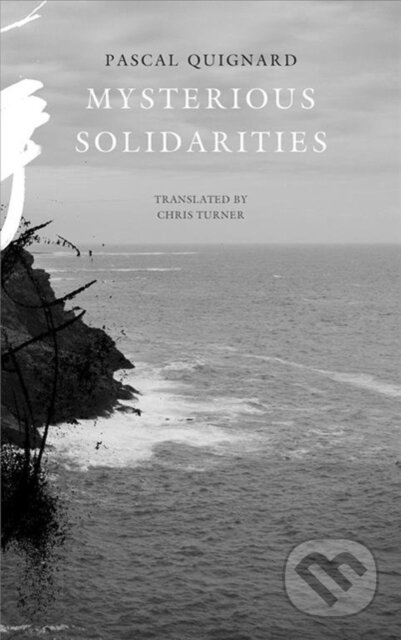 Mysterious Solidarities - Pascal Quignard - kniha z kategorie Společenská beletrie