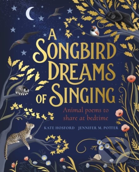 A Songbird Dreams of Singing - Kate Hosford - kniha z kategorie Pro děti