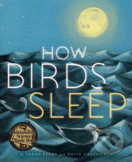 Kniha: How Birds Sleep (David Obuchowski)