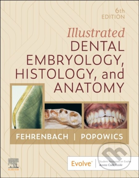Kniha: Illustrated Dental Embryology, Histology, and Anatomy (Margaret J. Fehrenbach a Tracy Popowics)
