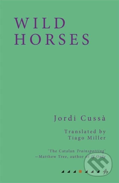 Kniha: Wild Horses (Jordi Cussa)