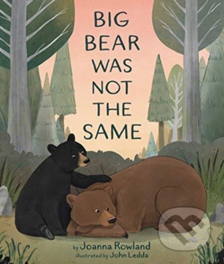 Kniha: Big Bear Was Not the Same (Joanna Rowland)