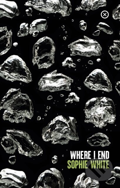 Kniha: Where I End (Sophie White)
