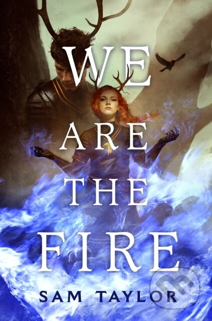 Kniha: We Are the Fire (Sam Taylor)